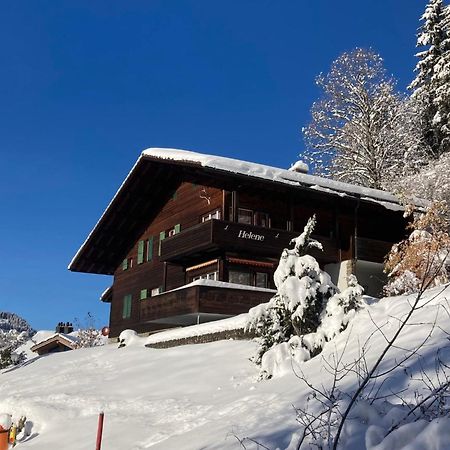 Apartment Helene Apt Diana By Interhome Wengen Exteriér fotografie