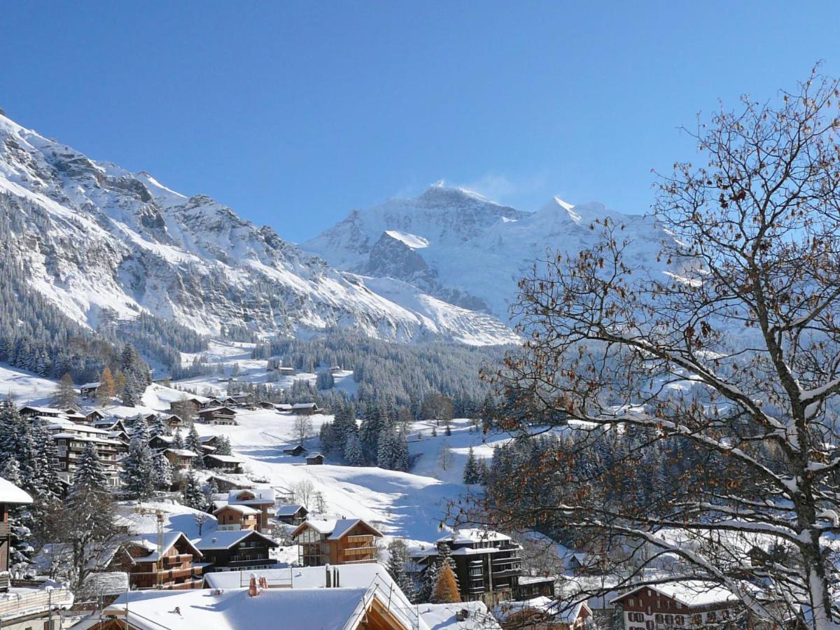 Apartment Helene Apt Diana By Interhome Wengen Exteriér fotografie