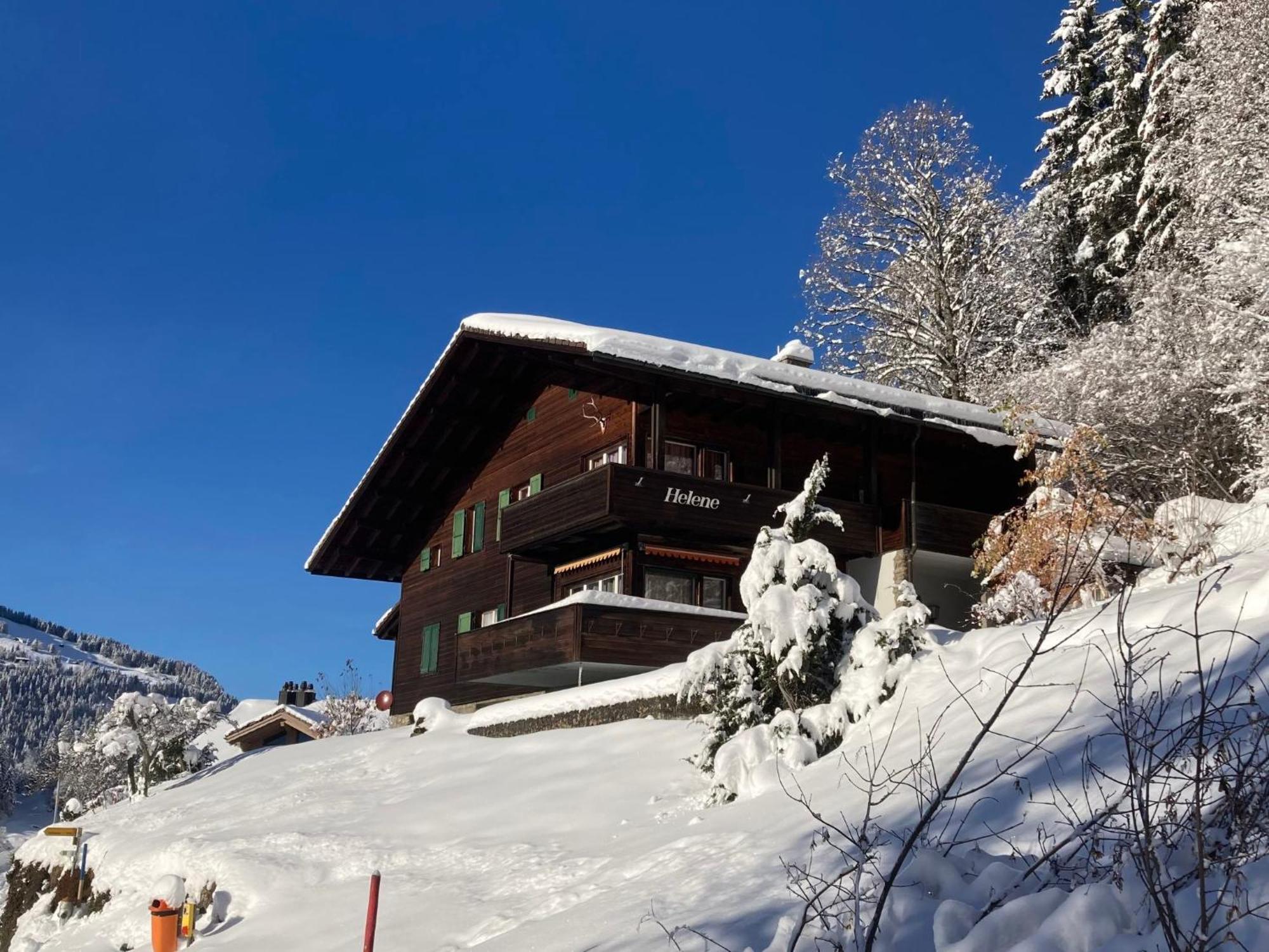 Apartment Helene Apt Diana By Interhome Wengen Exteriér fotografie